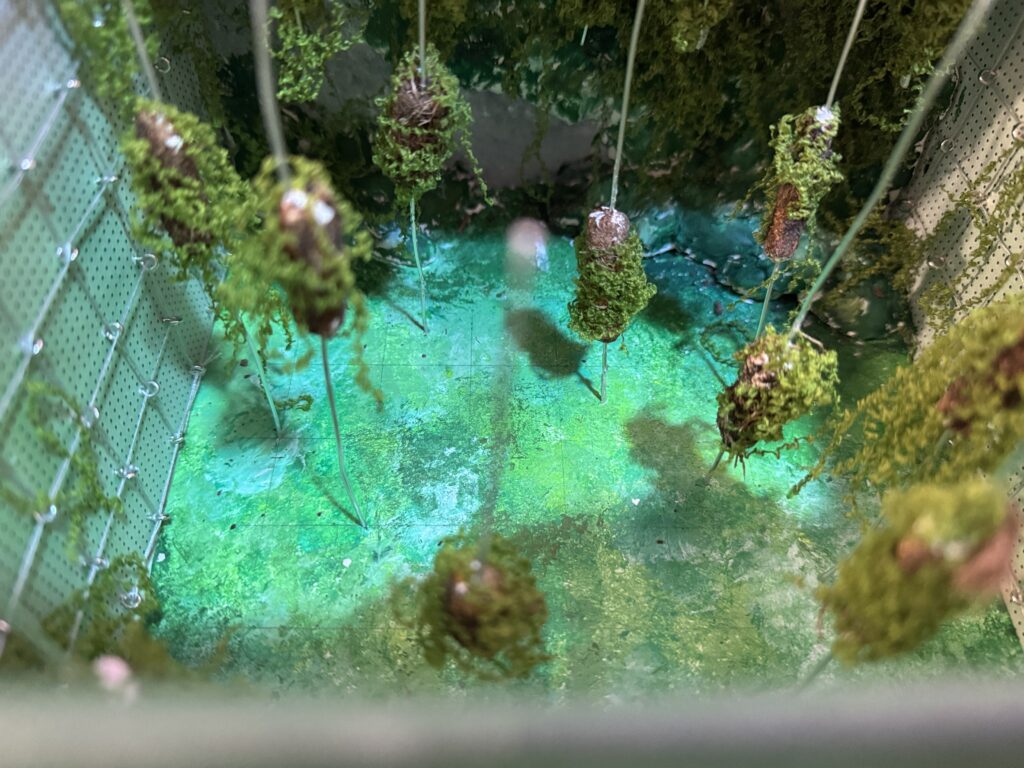 This project challenges the traditional human-centred spatial sovereignty structure and attempts to construct a plant-led spatial ecosystem that prioritises non-human perception.