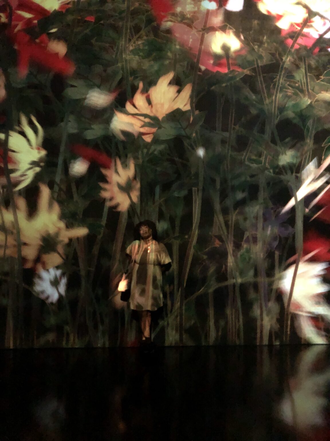 Girl standing in front of a wall with red and white flowers projected onto it.