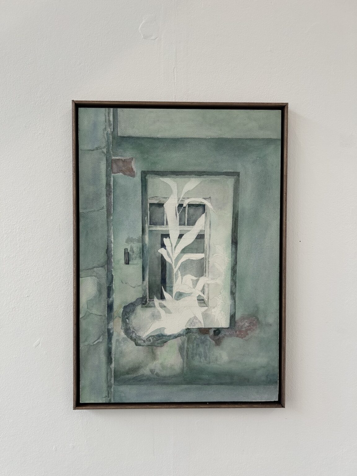 43 x 30 cm Watercolor on paper, 2025